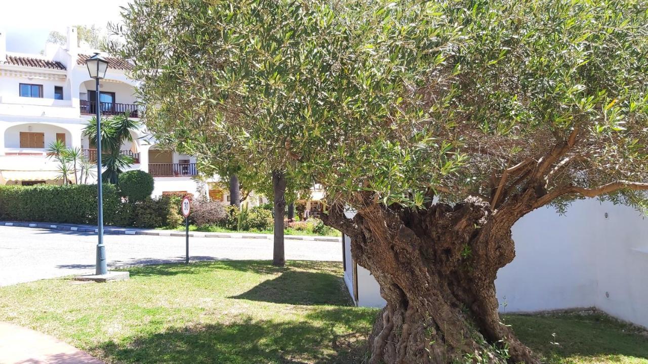 Del Parque Flats Le Village Marbella Golf Exterior photo